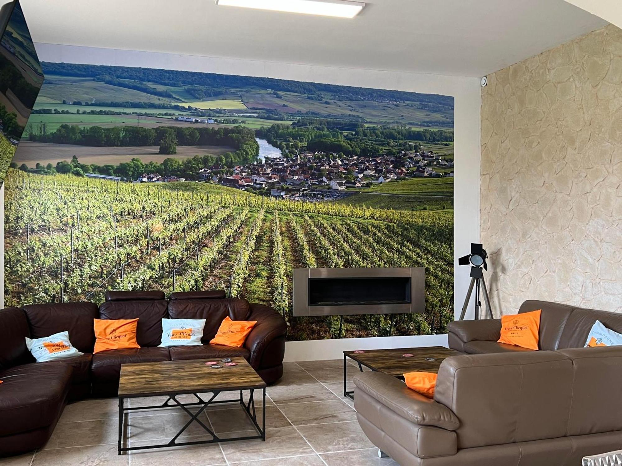Bed and Breakfast Domaine-De-La-Borde A Epernay Mardeuil Exterior foto